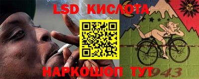 прущие грибы Ярославль