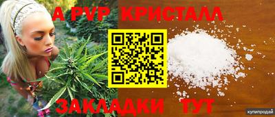 прущие грибы Ярославль