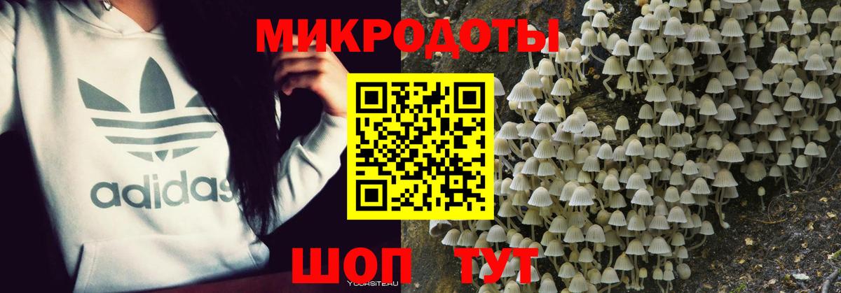 Псилоцибиновые грибы прущие грибы Белогорск