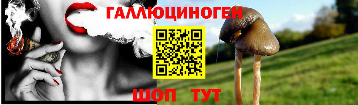 Псилоцибиновые грибы GOLDEN TEACHER  Псилоцибиновые грибы MAGIC MUSHROOMS  Вход с VPN  Белогорск 